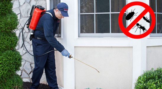 Bozyazı Sivrisinek İlaçlama böcek ilaçlama ve haşere kontrolü — ilaclama-tr.com